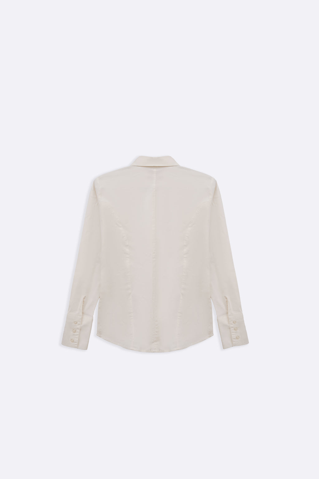 The Classic White Button Down